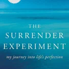 /attachments/books/the-surrender-experiment_hu_b0f4dc3c1d8d022e.webp