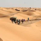 /attachments/dnd/s04e-caravan-members/desert-caravan_hu_52e6695078002077.webp