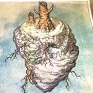 /attachments/dnd/s09e19-the-heart-of-ubtao/the-heart-of-ubtao_hu_f9af20b7face7b73.webp
