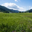 /attachments/hikes/hiking-einsielden-to-brunni/alpthal-valley_hu_f340b815f6af559c.webp