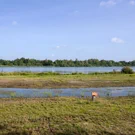 /attachments/trips/bird-lookout-leenderbos/leenderbos-goor-bird-lookout_hu_9c711fb97c1d0241.webp
