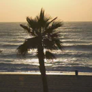 /attachments/trips/fin-de-las-vacaciones/silueta-palmera-playa-puesta-de-sol_hu9626161947783508755.webp /attachments/trips/fin-de-las-vacaciones/silueta-palmera-playa-puesta-de-sol_hu9626161947783508755.webp