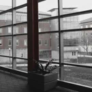 /attachments/trips/fin-del-primer-semestre-en-uiuc/interior-centro-siebel-uiuc-area-descanso_hu9803731357408678868.webp /attachments/trips/fin-del-primer-semestre-en-uiuc/interior-centro-siebel-uiuc-area-descanso_hu9803731357408678868.webp