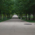 /attachments/trips/goodbye-champaign/uiuc-campus-path-surrounded-by-trees_hu7067884712629367803.webp /attachments/trips/goodbye-champaign/uiuc-campus-path-surrounded-by-trees_hu7067884712629367803.webp