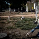 /attachments/trips/halloween/halloween-decoration-sunnyvale-zombie_hu_e811deb81fb1fe4f.webp