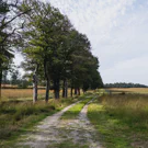 /attachments/trips/hoge-veluwe/DSCF2107_hu18269614361221440753.webp /attachments/trips/hoge-veluwe/DSCF2107_hu18269614361221440753.webp
