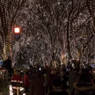 /attachments/trips/navidad-en-sendai/sendai-christmas-tree-decorations-at-night_hu_af47483f049aaaa3.webp