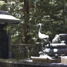 /attachments/trips/toshogu-shrine/animal-statues-in-front-of-ieyasu-tomb_hu_8bee475f30cfce34.webp