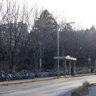 /attachments/trips/una-tarde/aobayama-campus-road-bus-stop_hu_bd8a325e32a24216.webp