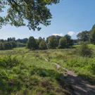 /attachments/trips/veluwezoom/DSCF2105_hu3364599681126797516.webp /attachments/trips/veluwezoom/DSCF2105_hu3364599681126797516.webp