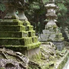 /attachments/trips/visitando-nara/linternas-con-musgo-nara_hu_d34ecf322819d4bb.webp