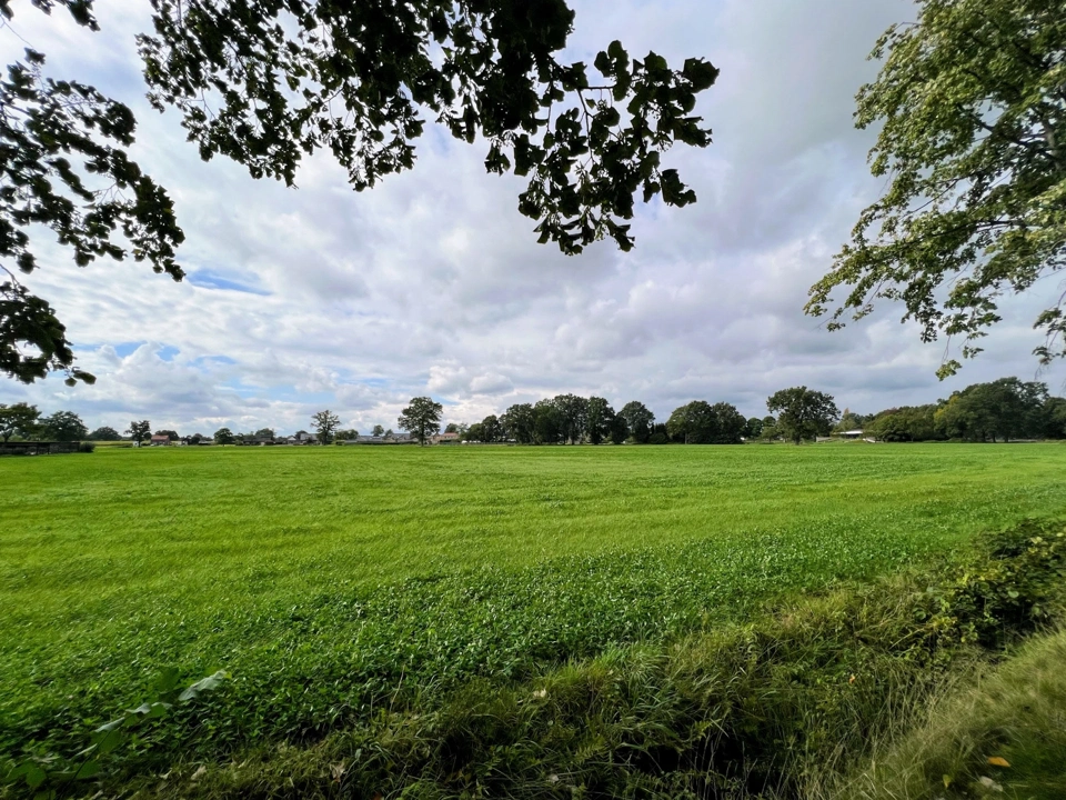 dutch-fields.webp